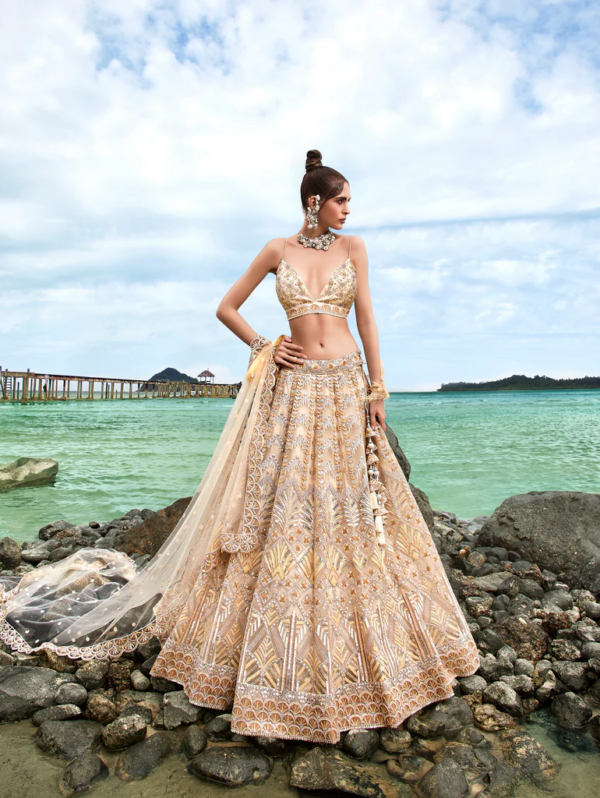 Ivory Bliss Cream Net Lehenga with Sequins Work